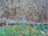 image of grave number 291743